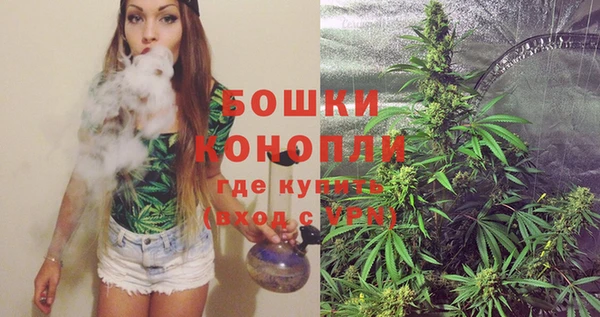 прущие грибы Переславль-Залесский