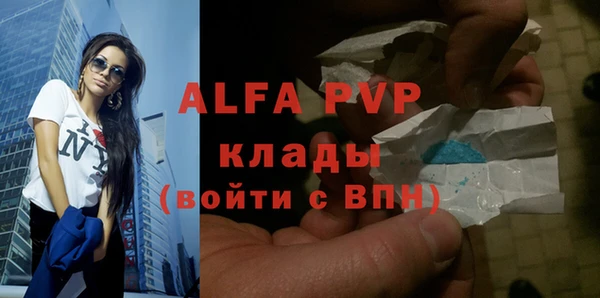 прущие грибы Переславль-Залесский