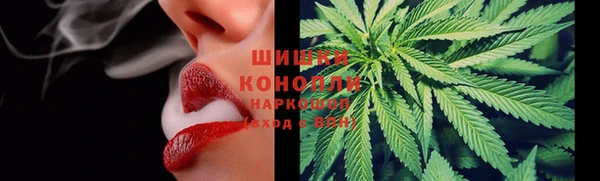 эйфоретик Пересвет