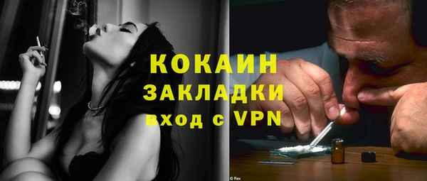 прущие грибы Переславль-Залесский