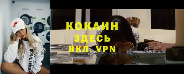 эйфоретик Пересвет