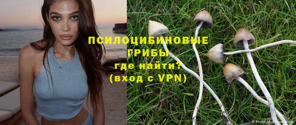 эйфоретик Пересвет