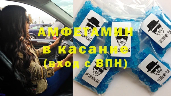прущие грибы Переславль-Залесский