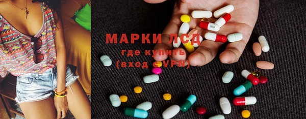 эйфоретик Пересвет
