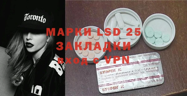 прущие грибы Переславль-Залесский