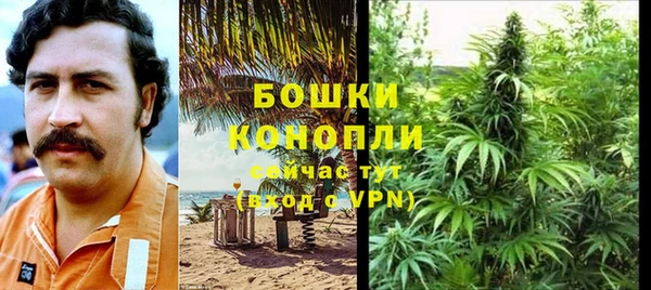 прущие грибы Переславль-Залесский