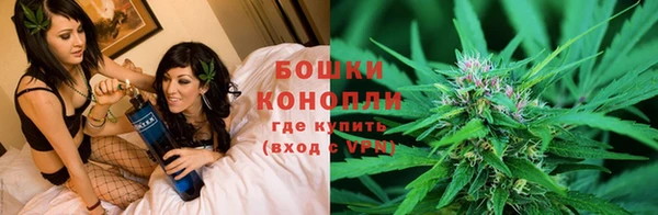 гидропоника Пестово