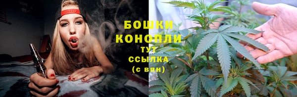 эйфоретик Пересвет