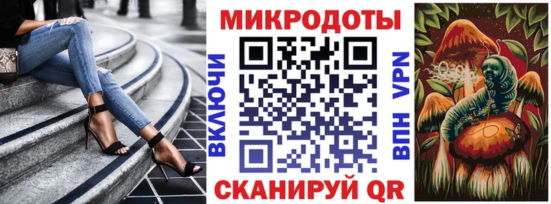 где можно купить   Бодайбо  Галлюциногенные грибы Cubensis 